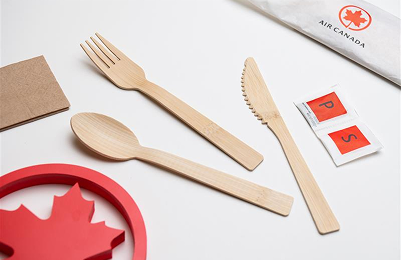 Single use Plastic